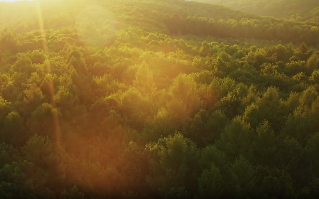 Buy luxury farm house land in Goa at PRAANA by Vedic City.